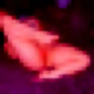 Photo exclusive de Caroline, 37 ans à Violaines - rencontre sans lendemain