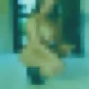 Paloma, 33 ans, cherche un plan cul à Viroflay