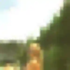 Photo de Veronique à Viry-Châtillon (38 ans) - plan cul anonyme