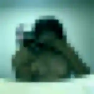Photo sexy de Penelope, 23 ans à Vivaise - rencontre coquine