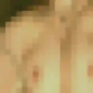 Photo privée de Anne-Charlotte, 45 ans à Vonnas - rencontre sans lendemain