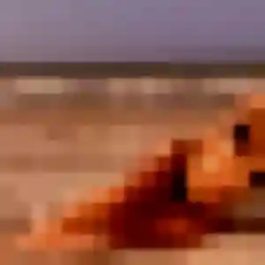 plan cul à Vrigne aux Bois : photo de Magalie, 45 ans - sans engagement