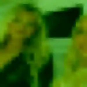Myriam (43 ans) à Wallon-Cappel attend une rencontre aujourd'hui