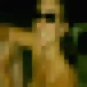 Belle Sixtine, 32 ans à Wambrechies - la contacter