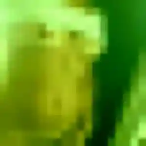 Photo sexy de Sonia, 35 ans à Wambrechies - rencontre sans lendemain