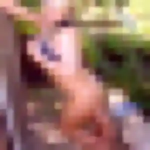 Roxane, femme de 44 ans propose plan cul à Wittersheim