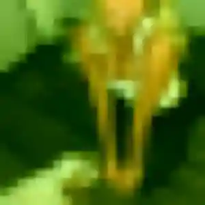 Photo sexy de Natasha, 42 ans à Yversay - rencontre coquine