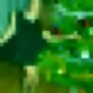Jolie Gaelle, 38 ans à Zinswiller - voir sa photo